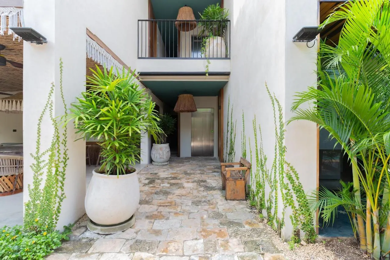 Beautiful Aldea Zama Ph With Private Plunge Pool And Terrace Apartment Tulum